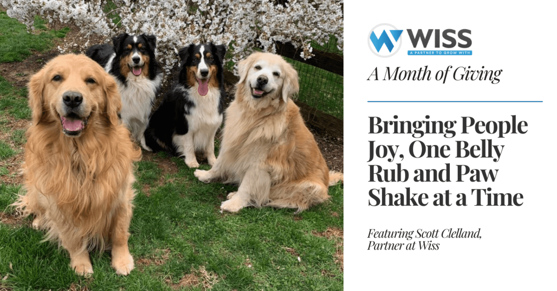 Bringing People Joy, One Belly Rub and Paw Shake at a Time