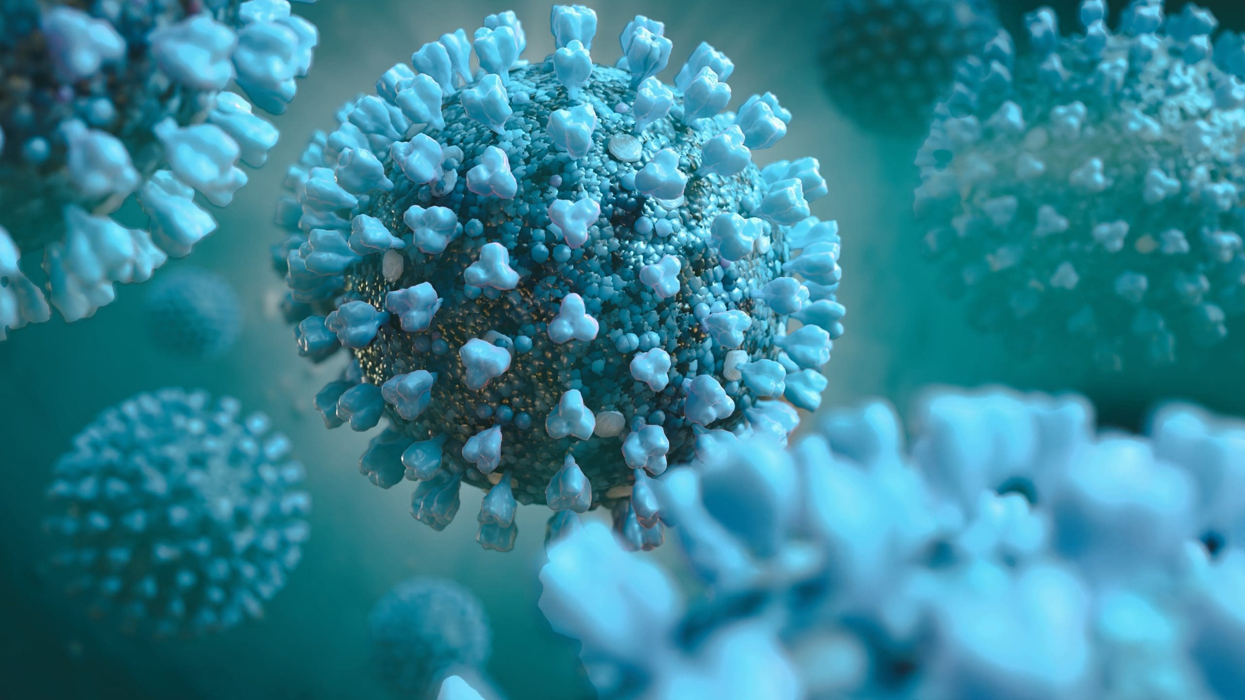 Employer Concerns in the Wake of the Coronavirus